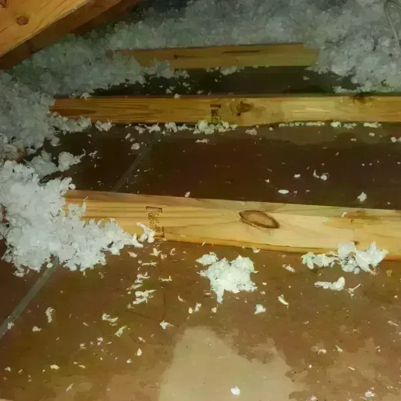 Attic Water Damage in Wood Village, OR