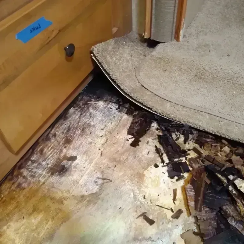 Wood Floor Water Damage in Wood Village, OR